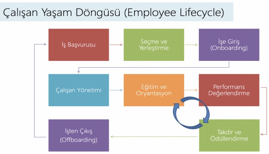 İnsan Kaynakları Mentorluğu