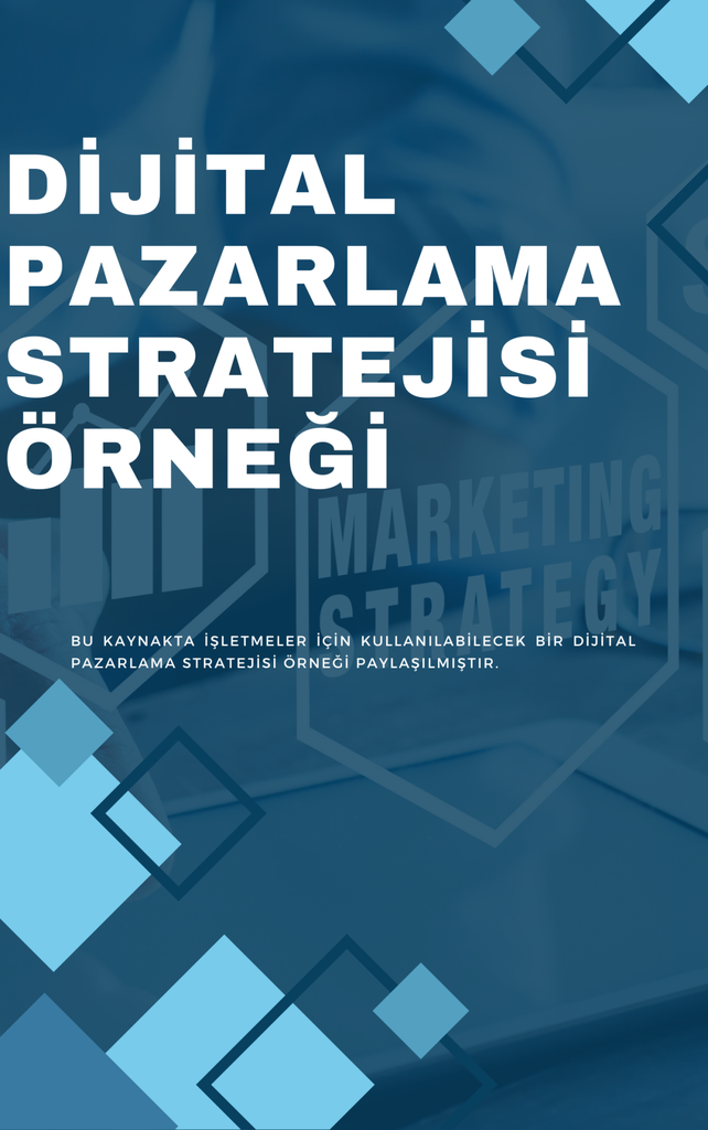 Dijital Pazarlama Stratejisi Örneği