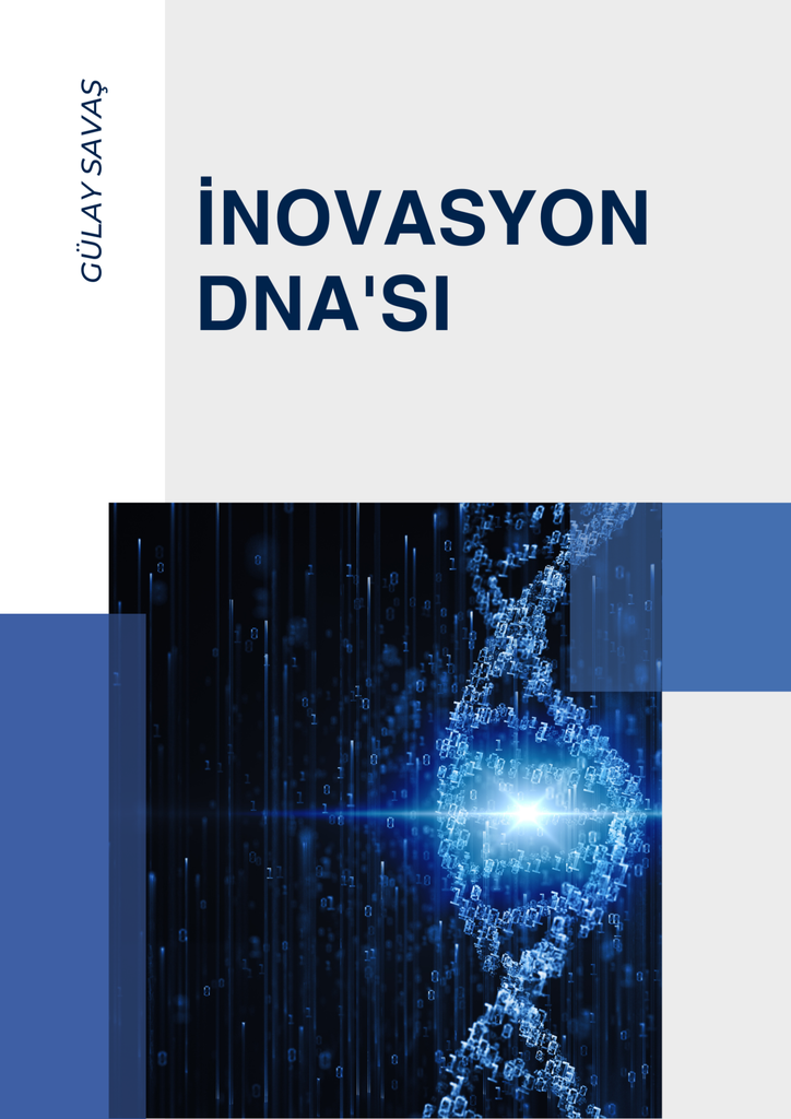 İnovasyon Eğitimi