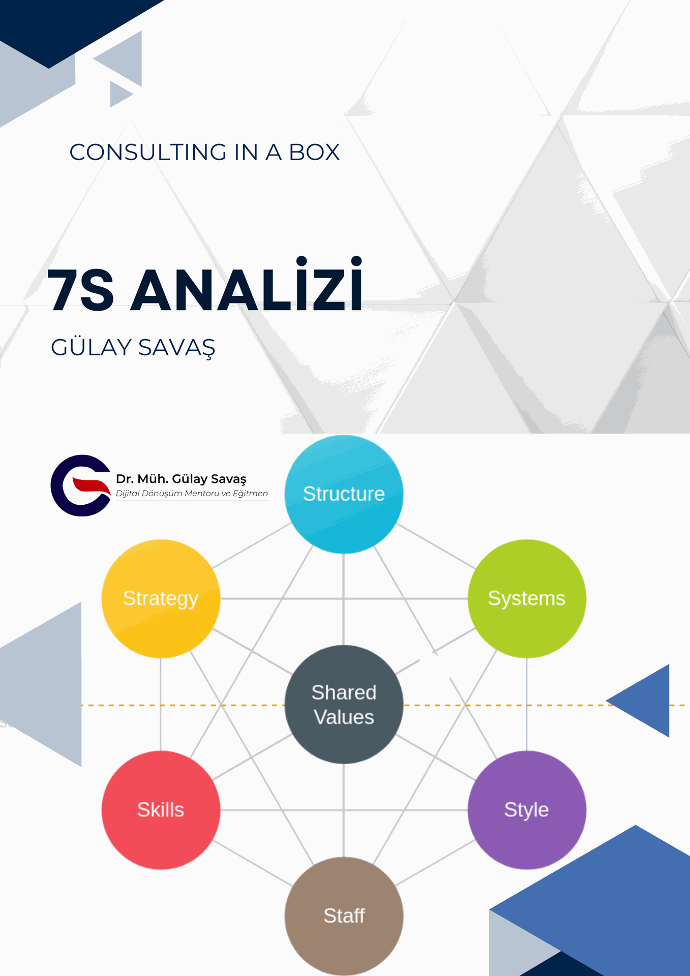 7S Analysis