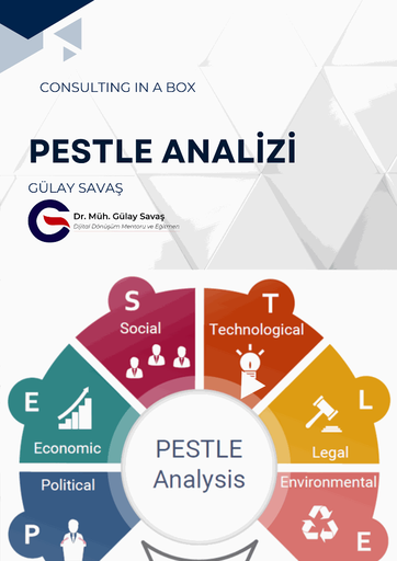 PESTLE Analyis