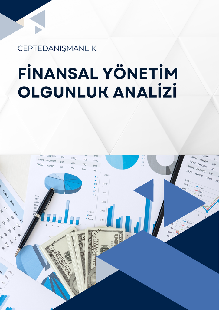 Finansal Yönetim Olgunluk Analizi