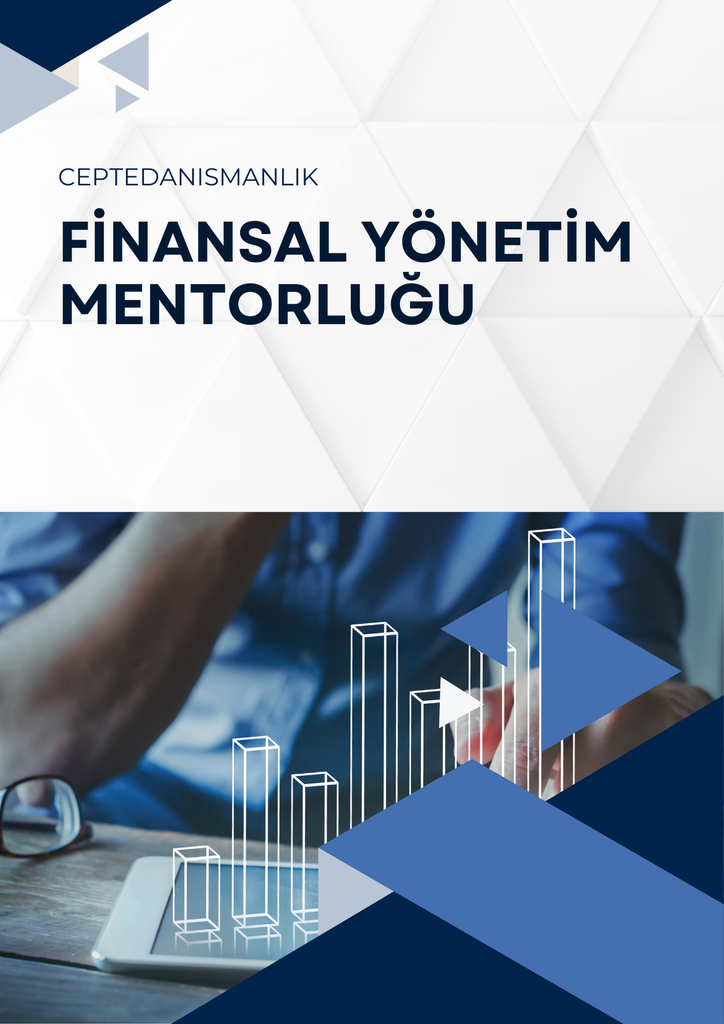 Finansal Yönetim Mentorluğu