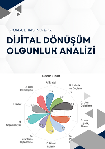 [W2LMFV8G7K] Dijital Dönüşüm Olgunluk Analizi