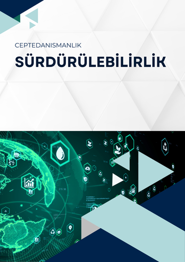 Sürdürülebilirlik Mentorluğu